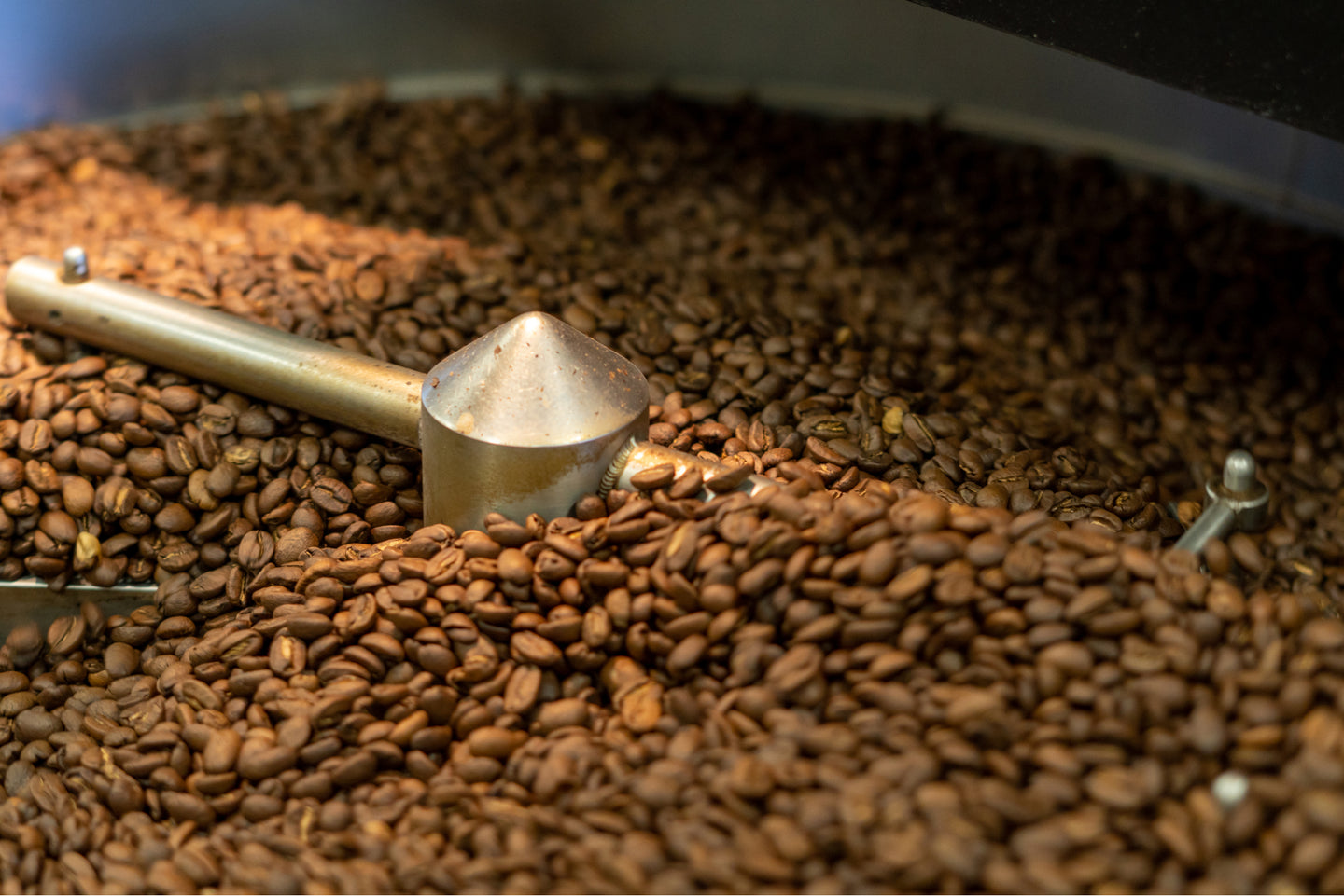 Halifax Coffee Roaster and Cafe Buy Specialty Coffee Online Java